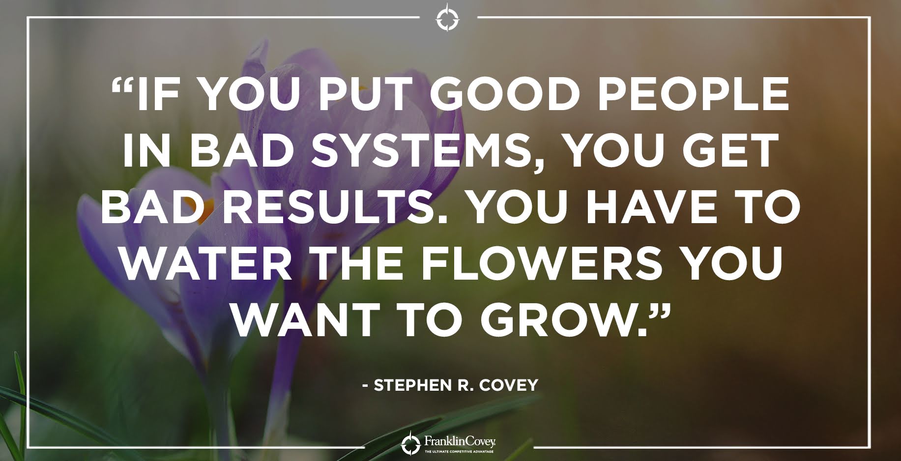 Source: Stephen R. Covey Twitter feed